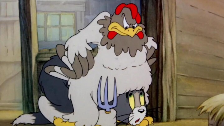 ☝🤓 Cock riding cat ⚡⚡⚡