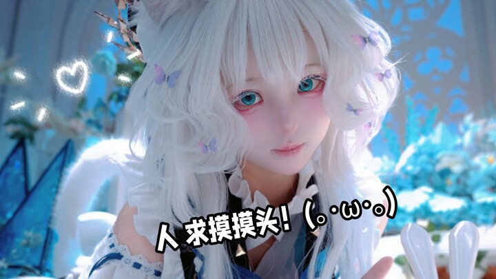 Seekor kucing imut dengan wajah dingin, selamat tinggal～（//･_･//)