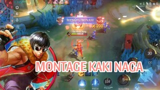 MONTAGE KAKI NAGA 🐉