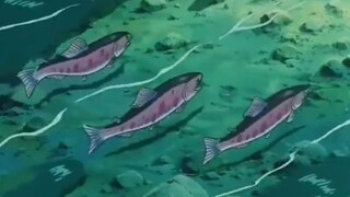 DORAEMON NOBITA VÀ NƯỚC NHẬT THỜI CỔ ĐẠI