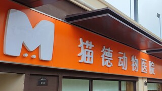 Our Cat De Animal Hospital has opened a new branch—let's take all our shareholders on a tour!