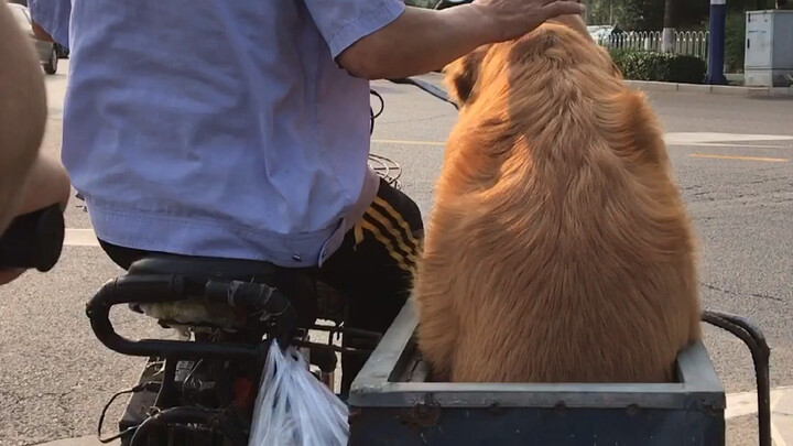 Gặp nhau tình cờ trên đường, yêu quá đi mất!