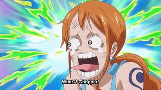 Ketika Nami Hampir Membunuh Chopper 🤣🗿