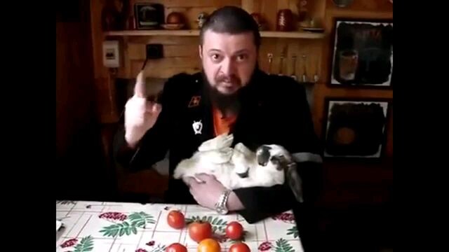 Виктор Пузо - Про кошек
