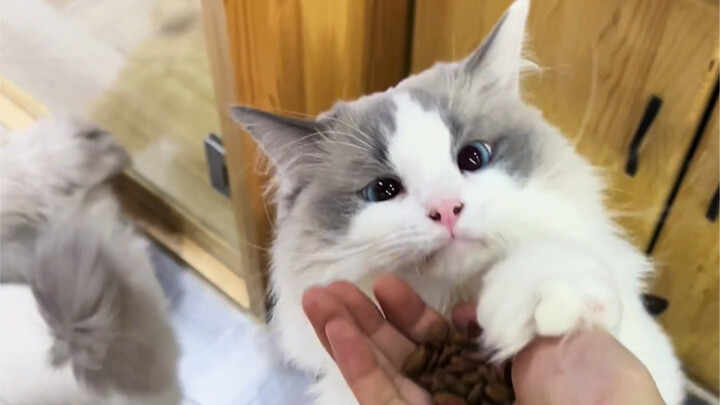 On the Importance of Mastering a Skill