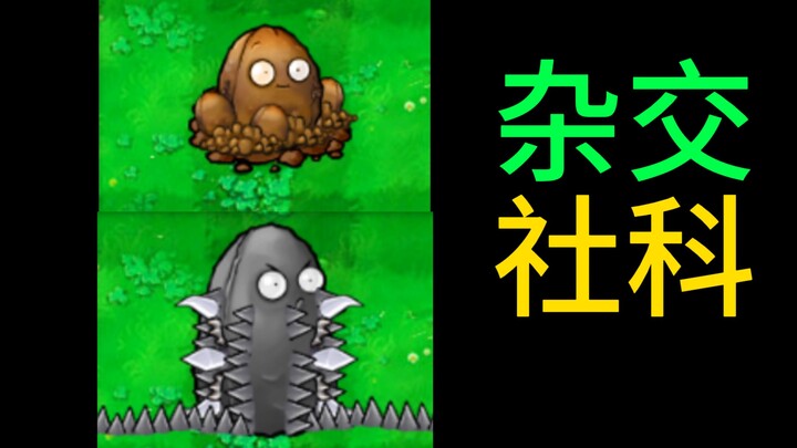 If we use hybrid plants to learn about symbolic violence [pvz social science]