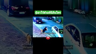 รู้เอาไว้ด้วยที่นี่ถิ่นใคร