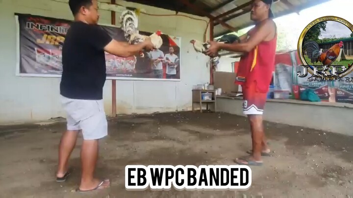 Early Birds WPC Banded! MT Banahaw line, JM Fantastic line and JRP Grey!