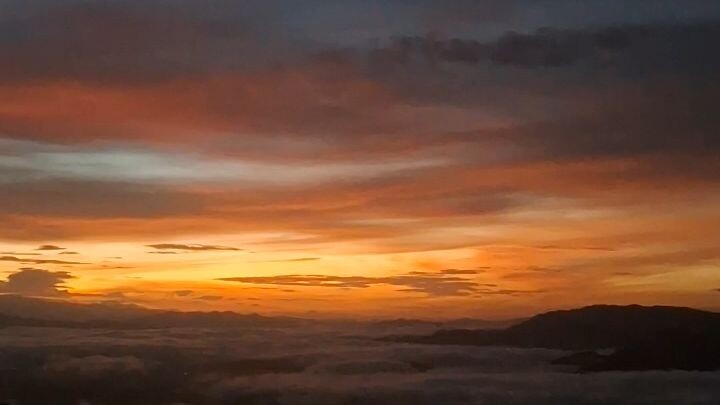 Morning