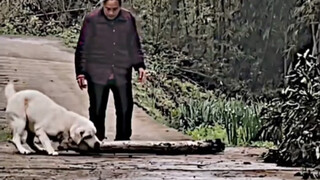 Bagus sekali, Bruce!