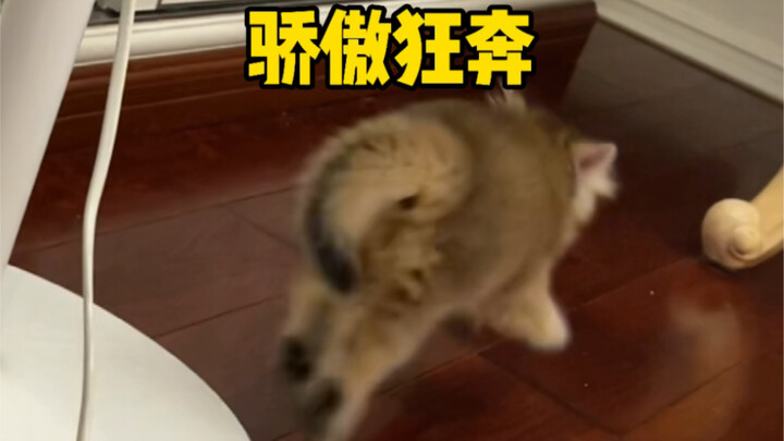 Did they really get the name “Biaobiaozi” wrong???