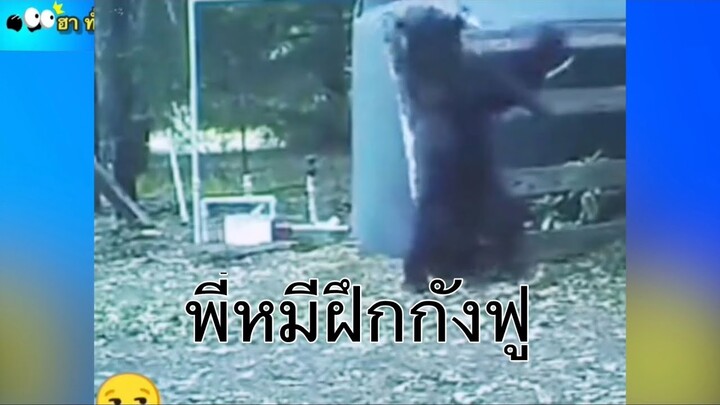 คลิปตลก ฮาๆทั่วโลก