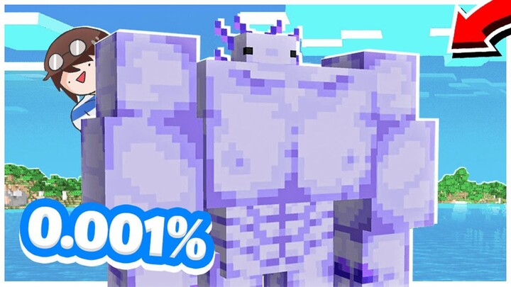 มีแค่ 0.001% เท่านั้นที่จะเจอ "สิ่งนี้" ใน Minecraft (ตลก)