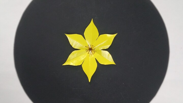 I Made a Flower With Just ONE Fold & ONE Cut! 🌸