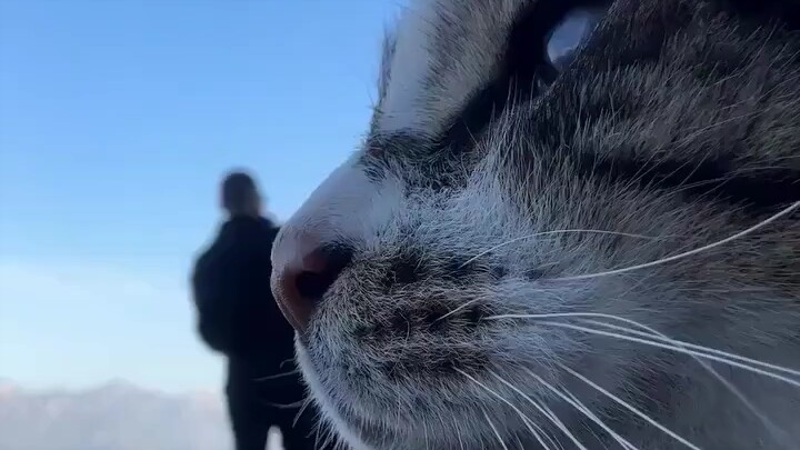 ชายหนุ่มอยากบันทึกโมเมนต์โรแมนติกขณะเต้นรำกับภรรยา แต่กลับมีแขกไม่ได้รับเชิญมาร่วมวงด้วย意外地