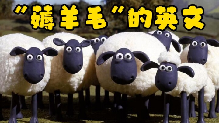 Apa terjemahan bahasa Inggris dari "hāo yángmáo"?