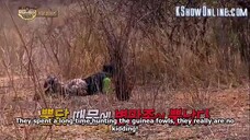 Law of the Jungle Episode 84 Eng Sub #cttro