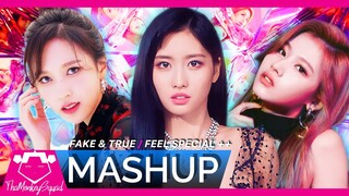 TWICE - 'FEEL SPECIAL x FAKE and TRUE x BREAKTHROUGH x Likey' Mashup
