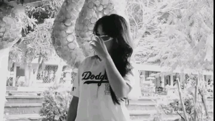 sheesh