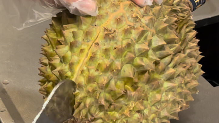 มาตอบแทนบุญคุณแล้ว!