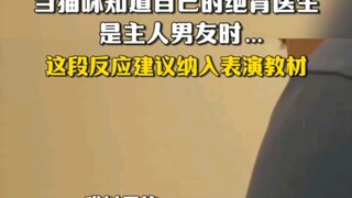 When the cat found out its spay/neuter doctor was its owner's boyfriend... This reaction should be i