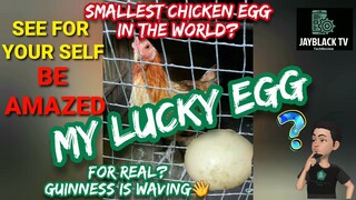 MY LUCKY EGG ||SMALLEST CHICKEN EGG IN THE WORLD?