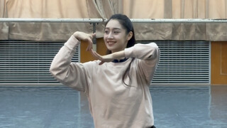 花儿为什么这样～