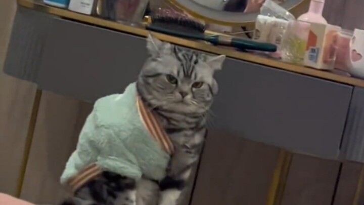 ยิ่งแมวแปลก ยิ่งคนรัก!