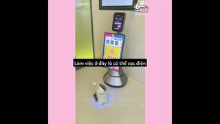 [Vietsub] Thân là robot nhưng lại là chúa hề 🤣 | Ổ nhỏ của Hoài
