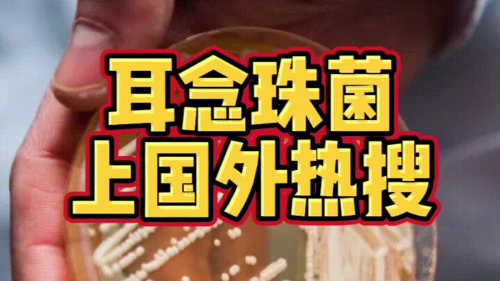 Nấm Candida auris lây lan với tốc độ kinh hoàng, nhưng điều còn nguy hiểm hơn vẫn chưa xuất hiện!