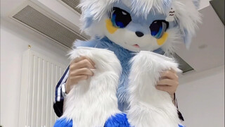 送兽装啦！