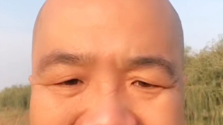 Daoge Dog is more handsome than you