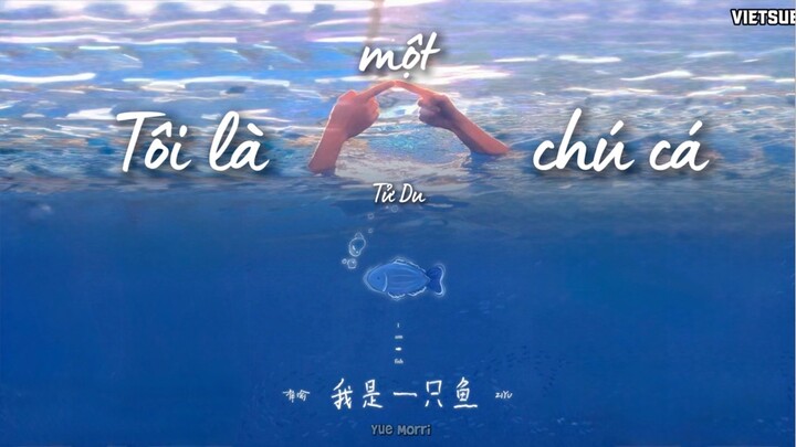 [VIETSUB] Tôi là một chú cá • Tử Du | 我是一只鱼 · 梓渝