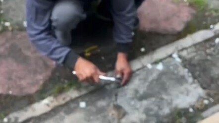 ลูกแมวตัวน้อยติดอยู่ ผมเรียกคุณลุงใจดีมาช่วยเหลือ แต่ผมกล้าดูจนจบไม่ได้ สุดท้ายคุณลุงก็ช่วยลูกแมวออก