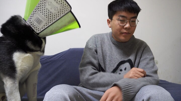 Ever since Er Ha was neutered, our home has been filled with some strange and quirky pairings.