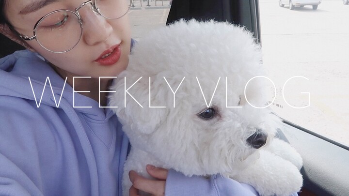 Weeklyvlog#17 | Sayang, Ayah sudah pulang! | Catatan Pulang untuk Merayakan Imlek | Pertemuan Tahuna