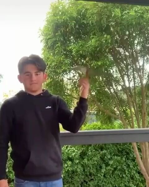 ความรู้สึกของการทดแทนนั้นรุนแรงมาก และนิ้วชี้ของฉันก็เริ่มเจ็บแล้ว