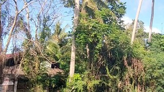 nuansa Obat Sakit Fikiran