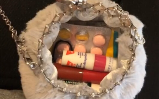 What神仙-level gorgeous bag is this? So cute!