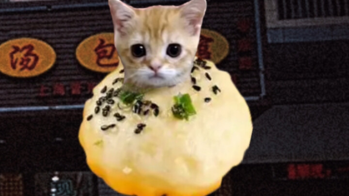 ميم قطط الكرواسون، لكنه عبارة عن شياو لونغ باو مقلية من شنغهاي!