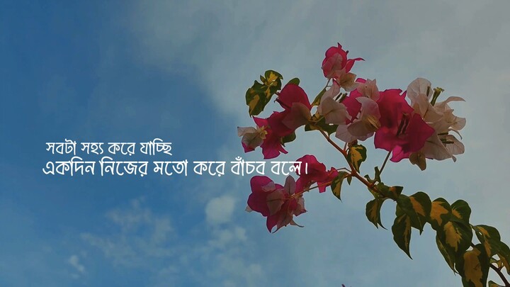 সবটা সহ্য করে যাচ্ছি 🖤