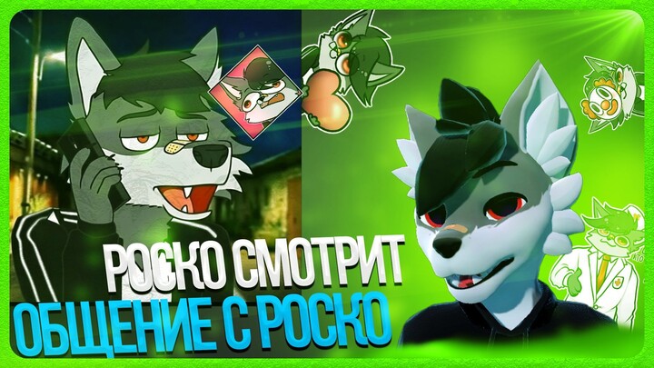 🐺 Роско смотрит Андрона - Общение с ‪Rosko