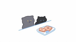 猫：今天想偷点面包吃吃~啊啊被发现了！！