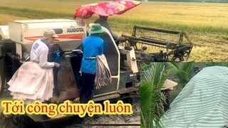 Máy lên cắt lúa chưa xong bị hư trời mưa tới tấp luôn