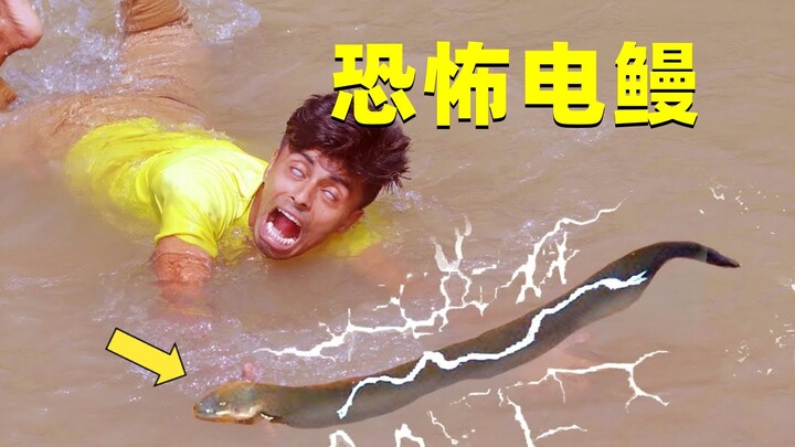 电鳗到底有多恐怖？能释放800V电压，瞬间将人电晕