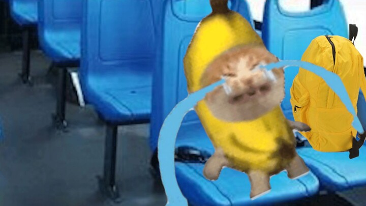 Banana cat fell asleep on the bus and missed his stop...