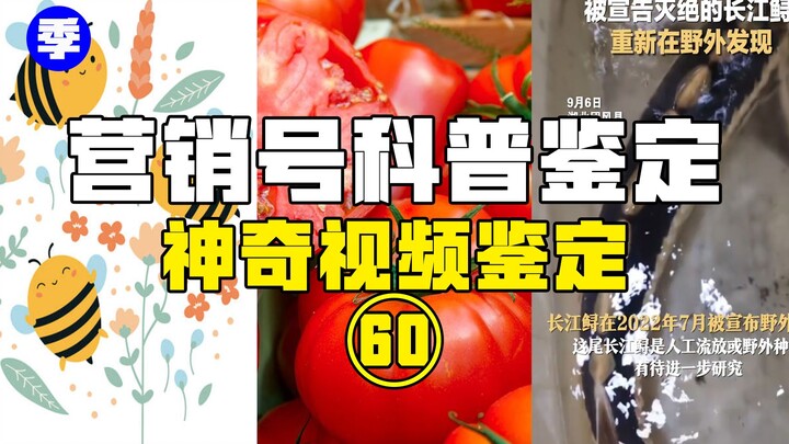 [Hot Item Verification] Is honey actually bee saliva? Do you need a ghostwriter to accrue merit by r