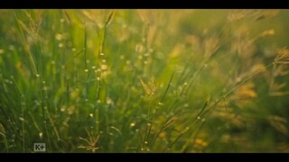 bác Sĩ tha hương - the outlaw doctor (vietsub) tập 5