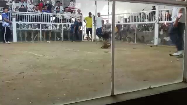 sbr Hennie line no scratch