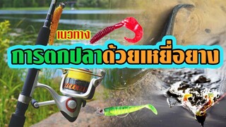 เทคนิคการตกปลา | ด้วยเหยื่อยาง เบื้องต้น |